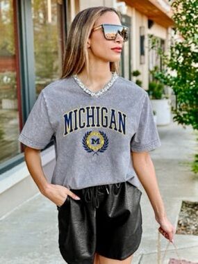 Michigan V-Neck Short Sleeve Tee in Gray NWOT